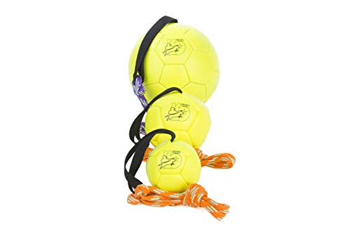 Julius-K9 KORA1 Show Training Ball 170 mm, Un tamaño