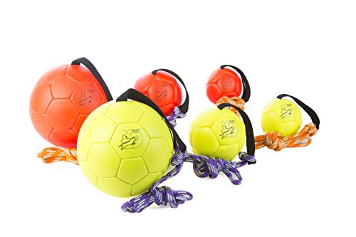 Julius-K9 KORA1 Show Training Ball 170 mm, Un tamaño