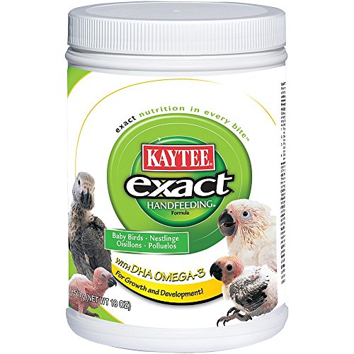 Kaytee Alimento de Mano Exacto para Aves de bebé, 18 oz