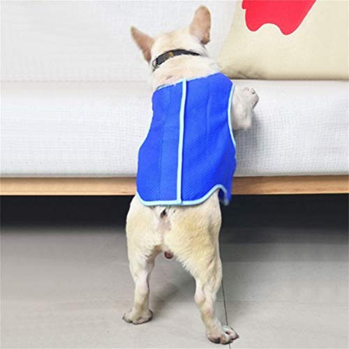 Kousa - Chaleco refrigerante para perros, chaleco refrigerante para mascotas, ropa de verano para cachorros