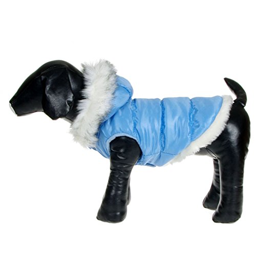 La vogue Chaqueta Acolchada Abrigo para Perro con Capucha Piel (Azul, M)