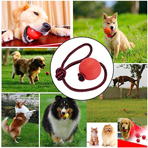 Legendog Bolas para Perros, Pelota de Goma de Goma Elástica Sólida para el Entrenamiento del Animal Doméstico del IQ Que Juega Masticando (Red)