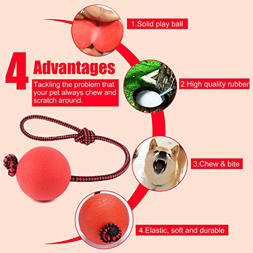 Legendog Bolas para Perros, Pelota de Goma de Goma Elástica Sólida para el Entrenamiento del Animal Doméstico del IQ Que Juega Masticando (Red)