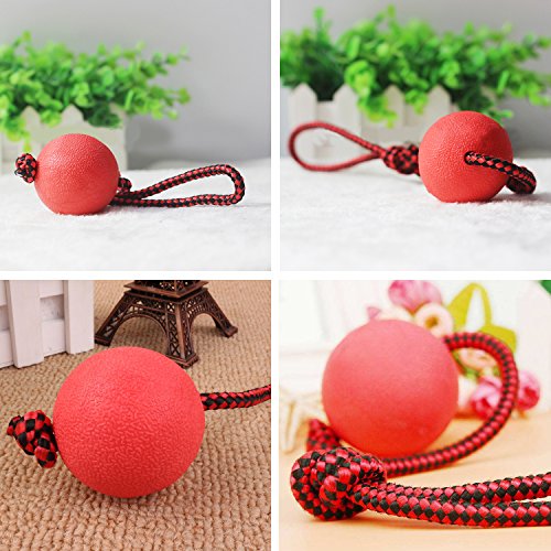 Legendog Bolas para Perros, Pelota de Goma de Goma Elástica Sólida para el Entrenamiento del Animal Doméstico del IQ Que Juega Masticando (Red)