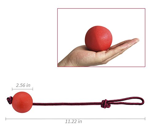 Legendog Bolas para Perros, Pelota de Goma de Goma Elástica Sólida para el Entrenamiento del Animal Doméstico del IQ Que Juega Masticando (Red)