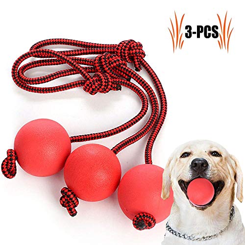 Legendog Bolas para Perros, Pelota de Goma de Goma Elástica Sólida para el Entrenamiento del Animal Doméstico del IQ Que Juega Masticando (Red)