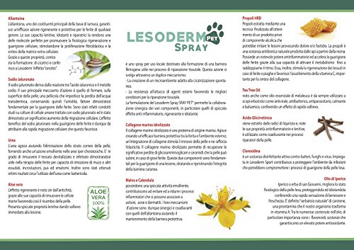 Lesoderm Pet parche de curación para animales 50 ml - Parche Spray protector para contusiones y heridas superficiales de perros, gatos, mascotas y patios