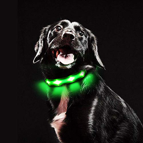 MASBRILL Cuello de Seguridad LED súper Brillante DC Recargable para Perros - excelente Visibilidad y Seguridad - Resistente al Agua