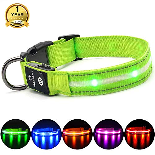 MASBRILL Cuello de Seguridad LED súper Brillante DC Recargable para Perros - excelente Visibilidad y Seguridad - Resistente al Agua