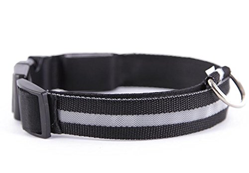 Mejor Perro Visibilidad y Seguridad – USB Batería LED Perro Seguridad Collar – LED de Pilas – se Conecta a Dispositivos – no – Gran diversión – tu Perro es más Visible y Seguro (Negro Grande)