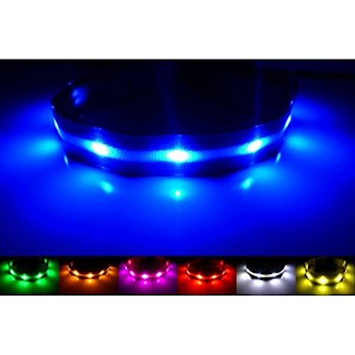 Mejor Perro Visibilidad y Seguridad – USB Batería LED Perro Seguridad Collar – LED de Pilas – se Conecta a Dispositivos – no – Gran diversión – tu Perro es más Visible y Seguro (Negro Grande)