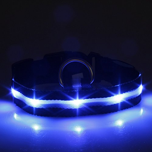 Mejor Perro Visibilidad y Seguridad – USB Batería LED Perro Seguridad Collar – LED de Pilas – se Conecta a Dispositivos – no – Gran diversión – tu Perro es más Visible y Seguro (Negro Grande)