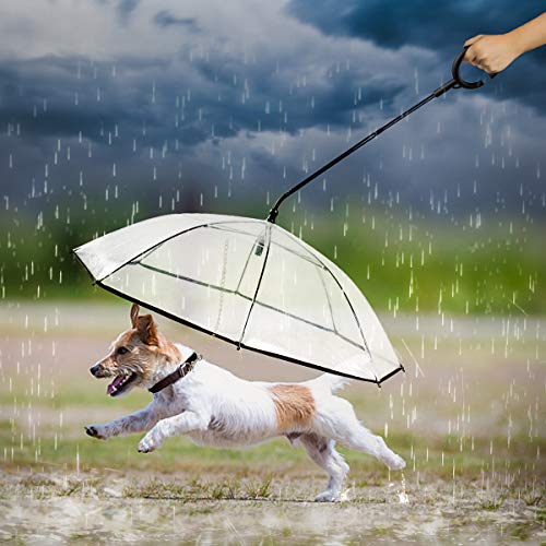 Namsan Perro Paraguas con Cuerda para hundegehen al Aire Libre (Nieve/Lluvia)