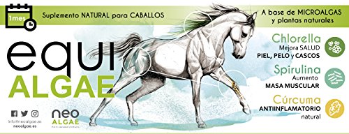 NEOALGAE MICRO SEAWEED PRODUCTS Suplemento con Vitaminas para Caballos | Rico en Vitaminas A, C, D, B y Biotina | Antiinflamatorio | Componentes 100% Naturales con Microalgas, Levadura y Cúrcuma