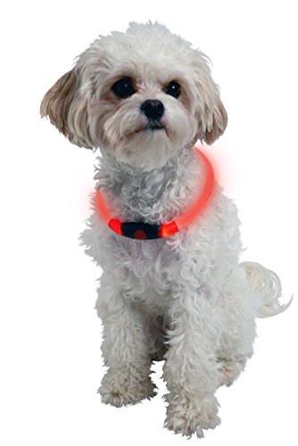 Nite Ize Nitehowl Accesorios para Mascotas, Hombre, Rojo, M