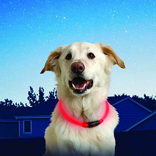 Nite Ize Nitehowl Accesorios para Mascotas, Hombre, Rojo, M