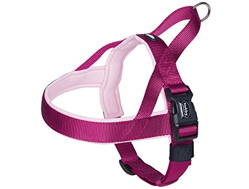 Nobby Classic Preno - Arnés Noruego (38-50 cm + 36 cm/20-25 mm), Color Frambuesa/Rosa