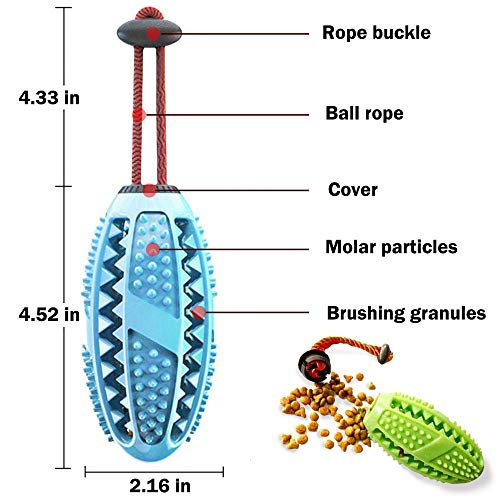 onebarleycorn – Cepillo de Dientes para Perro, Juguete para Masticar Pelota de Entrenamiento para Cachorros Cuidado Dental Limpieza de Dientes no tóxica Goma Natural Resistente a mordidas (Azul)