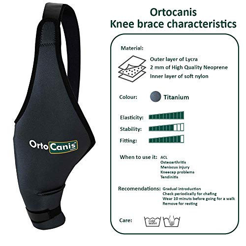 Ortocanis Protector de Rodilla - Talla L - Derecha