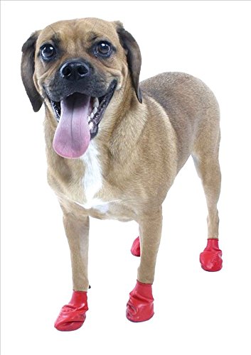 Pawz Botas de Goma Impermeables para Perros Pequeños - 12 Unidades