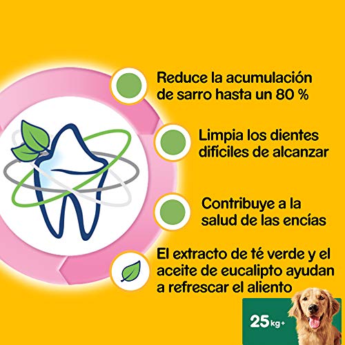 Pedigree Pack de 7 Dentastix Fresh de uso diario para la limpieza dental de los perros y contra mal aliento, para perros grandes (Pack de 10)