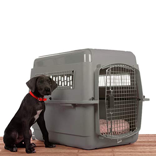 Petmate Transportin Sky Kennel 28, 71 x 52 x 55 cm, Gris, 71 x 52 x 54 cm