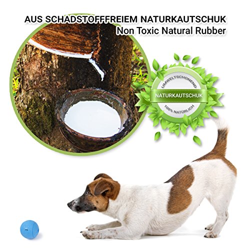 PetPäl Pelota de Caucho Natural para Perros