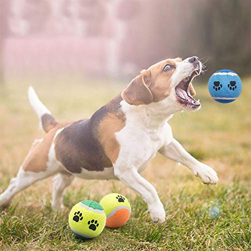 Petper Cw-0039EU - Juguete de pelotas para perros, pelotas de tenis de caucho para entrenar y jugar con cachorros (paquete de 3)