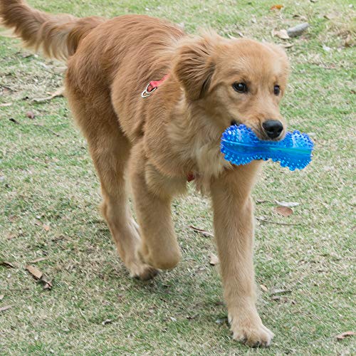 Petper - Juguetes para perros, juguetes de hueso estimuladores de la inteligencia con partículas de masaje (azul)