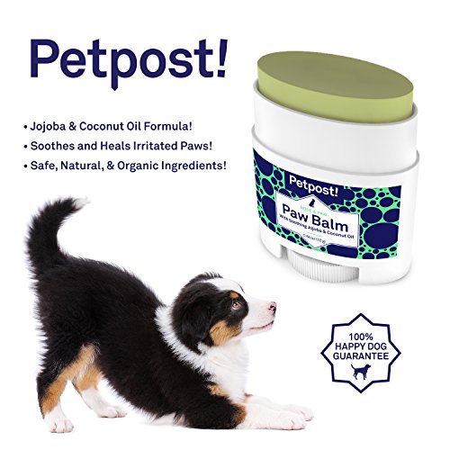 Petpost | Bálsamo para Patas de Perro - Crema Nutritiva Que Alivia Las Patas del Perro con Sequedad y Picazón con Ingredientes Hidratantes - Aceite de Coco Orgánico y Aceite de Jojoba