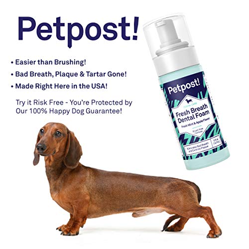 Petpost | Espuma De Aliento Fresco para Perros - Solución Dental con Sabor a Menta Y Manzana Que Mata El Mal Aliento - Caries Y Caries Dental - Tratamiento De Limpieza Natural De Los Dientes