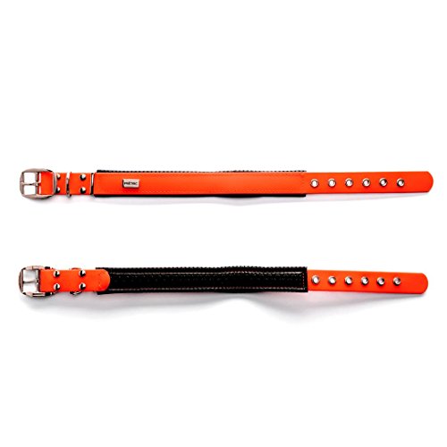 PetTec Collar de Perro Cómodo y Duradero, Fabricado con Trioflex lo Que lo Hace Fuerte; para Perros Grandes o Pequeños, Ajustable y con Relleno Impermeable (Naranja)