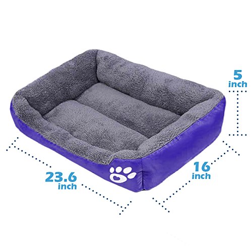 PowerKing Colchón Cuadrado para Cama de Perro pequeño, Lavable, Ideal para la habitación o la Parte Inferior Impermeable