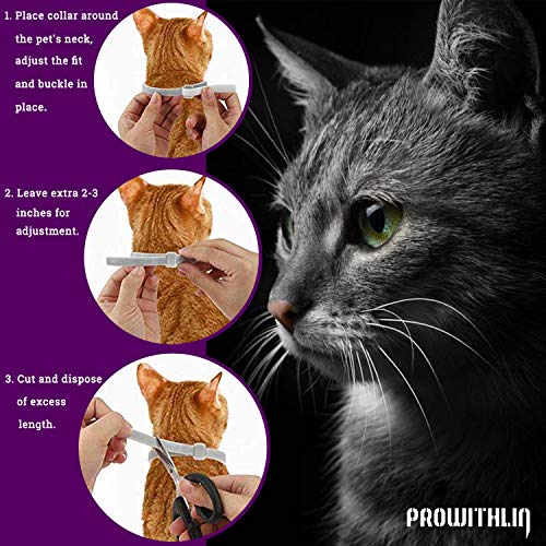 prowithlin Collar Antipulgas y Antigarrapatas para Gatos, Collar Impermeable Ajustable, Solución Natural contra Pestes para Gatos Jóvenes, 36 cm 8 Meses Talla Única para Todos los Gatos