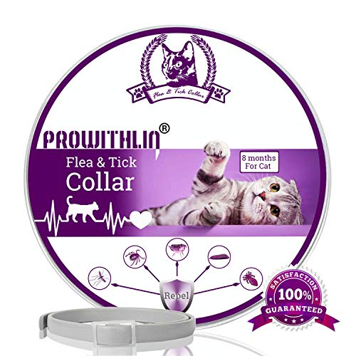 prowithlin Collar Antipulgas y Antigarrapatas para Gatos, Collar Impermeable Ajustable, Solución Natural contra Pestes para Gatos Jóvenes, 36 cm 8 Meses Talla Única para Todos los Gatos