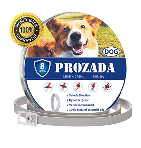 PROZADA Natural Collar Antiparasitario para Perros (8 Meses) Prevención de Pulgas y Garrapatas - con Extractos de Plantas de Aceites Esenciales - Hipoalergénico Talla única para Todos los Perros (1)