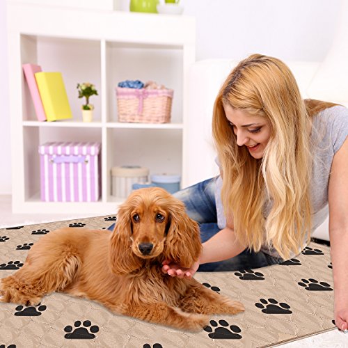 Pupouse Empapadores para Entrenar A Cachorros - 2 PCS Súper Absorción Lavable en la Lavadora Reutilizable Impermeable, Pañales Perro Empapadores de Entrenamiento | Extra Grande (80 X 90 CM)