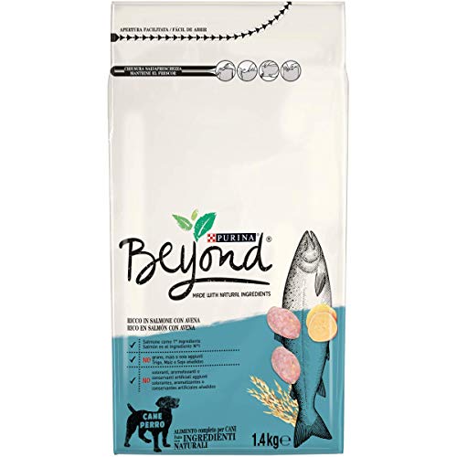 Purina Beyond Pienso Natural para Perro Adulto Salmón y Avena 6 x 1,4 Kg