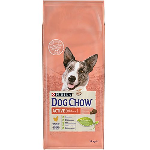 Purina Dog Chow Active pienso para Perro Adulto Pollo 14 Kg