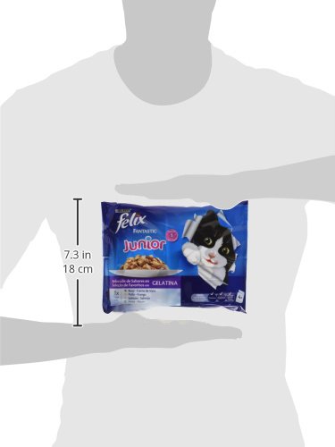 Purina Felix Fantastic comida para gato Junior Selecciones Favoritas 10 x [4 x 100 g]