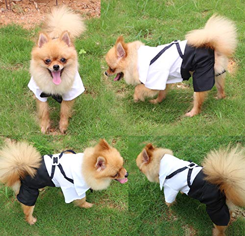 QiCheng & LYS Ropa para Perros Traje Elegante con Estilo de Corbata de moño, Camisa de Esmoquin Formal con Traje de Corbata Negra (L)