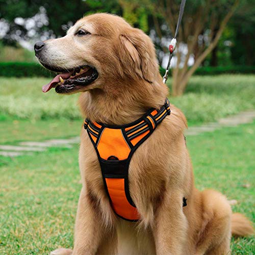 rabbitgoo Arnes Antitirones Perro Ajustable con Lineas Reflectantes Arnés Coche Perro Coche Adiesreamiento Arnes Perro Chaleco Transpirable con Asa Seguridad Easy Walk Extra Grande Naranja