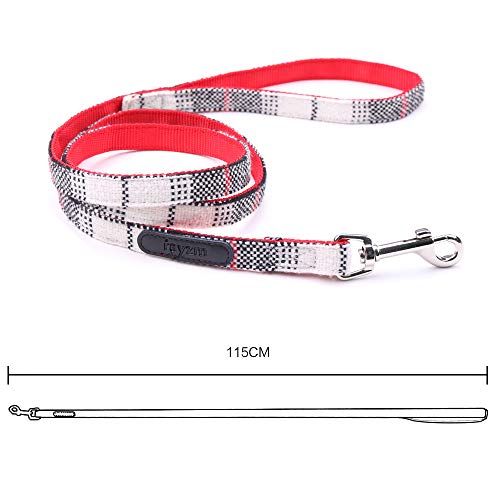 Rayzm Set de Collar de Perro y Correa con Pajarita para Perros Pequeños de Menos de 15kg, Collar de Perro Ajustable, 115 * 2cm Correa de Tacto Suave con Enganche de Meta (M)