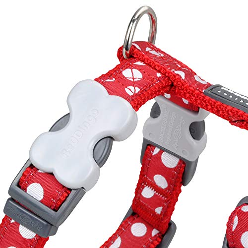 Red Dingo GmbH  Spots - Collar para perro , Rojo, S