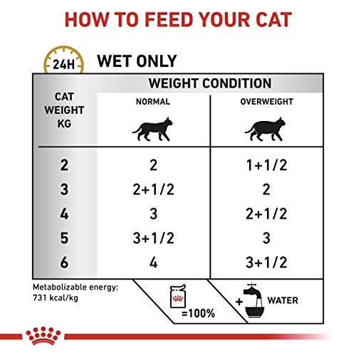 ROYAL CANIN Alimentacion 1 Unidad 300 g