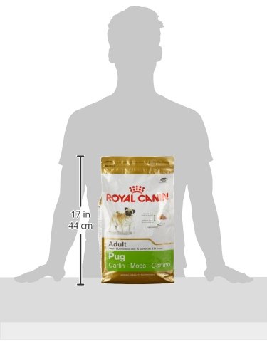 Royal Canin C-08950 S.N. Carlino Pug - 3 Kg