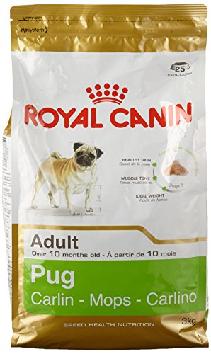 Royal Canin C-08950 S.N. Carlino Pug - 3 Kg