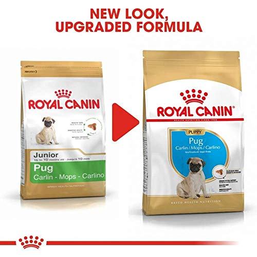 Royal canin carlino junior pienso para carlino joven