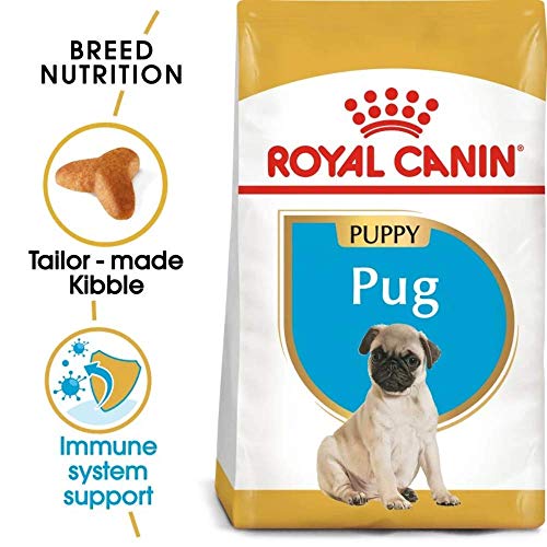 Royal canin carlino junior pienso para carlino joven