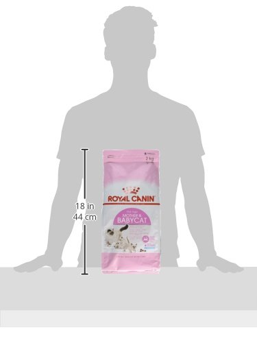 Royal Canin Comida para gatos Babycat 2 Kg